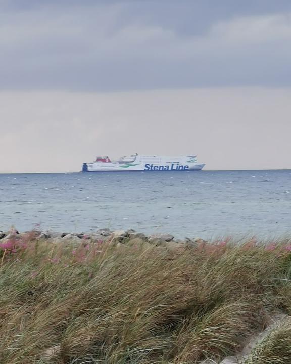 Deichterrassen Heidkate